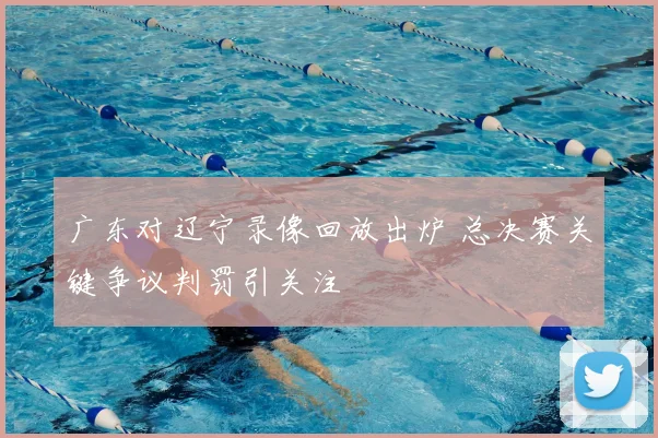 广东对辽宁录像回放出炉 总决赛关键争议判罚引关注