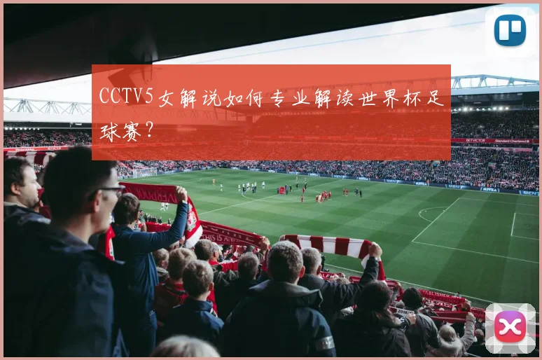 CCTV5女解说如何专业解读世界杯足球赛？