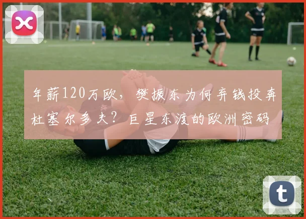 年薪120万欧，樊振东为何弃钱投奔杜塞尔多夫？巨星东渡的欧洲密码！_萨尔布吕肯_训练基地_德国