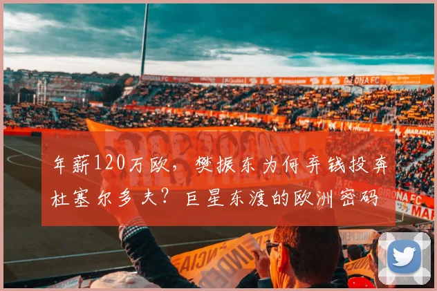 年薪120万欧，樊振东为何弃钱投奔杜塞尔多夫？巨星东渡的欧洲密码！_萨尔布吕肯_训练基地_德国