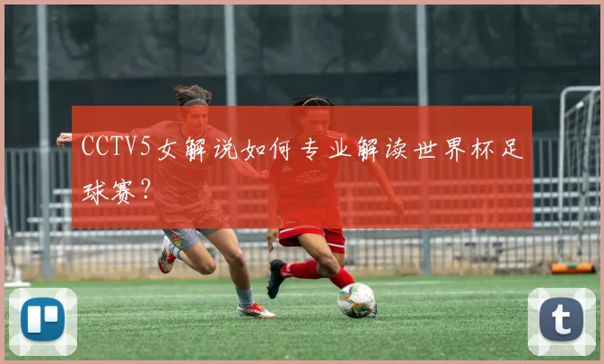 CCTV5女解说如何专业解读世界杯足球赛？