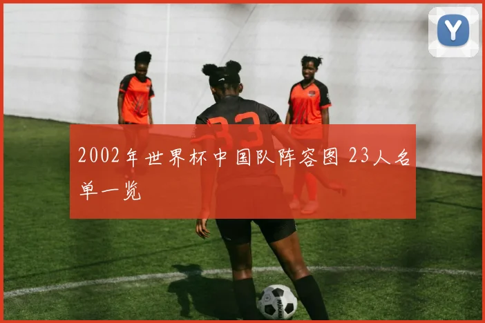 2002年世界杯中国队阵容图 23人名单一览