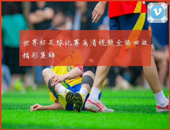 世界杯足球比赛高清视频全场回放精彩集锦