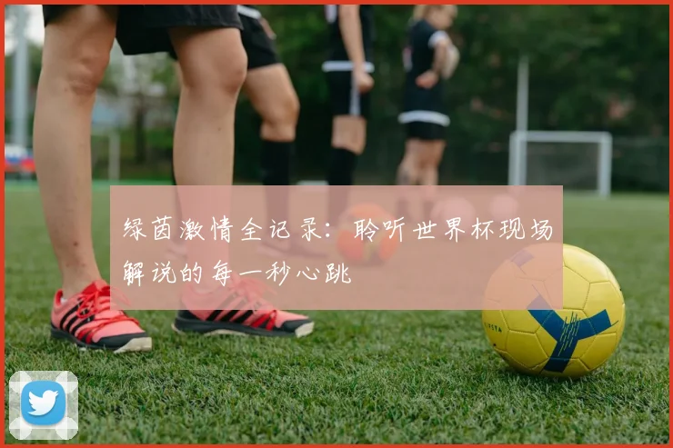 绿茵激情全记录：聆听世界杯现场解说的每一秒心跳
