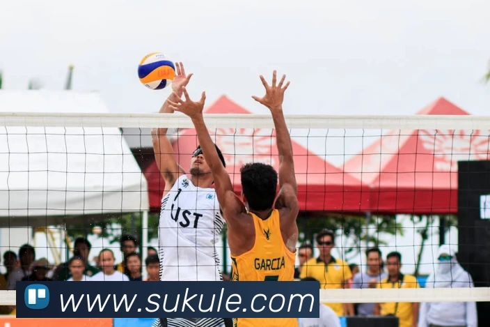 多媒体互动体验