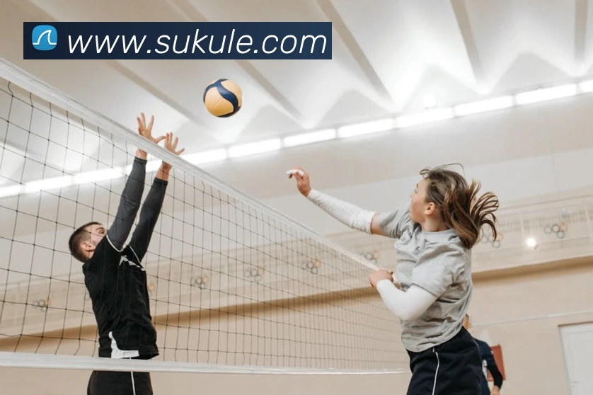 开云体育APP 体育赛事宣传图